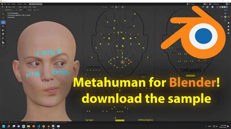 Export metahuman to blender. Things To Know About Export metahuman to blender. 